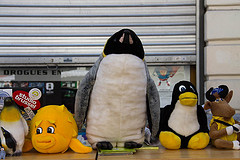 Fidèle au rendez-vous !